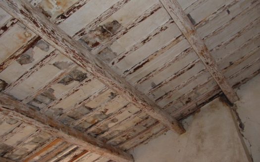 FLFI0210 || Casale – Filottrano (AN)
