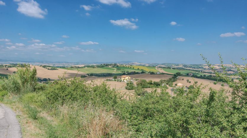 Panorama