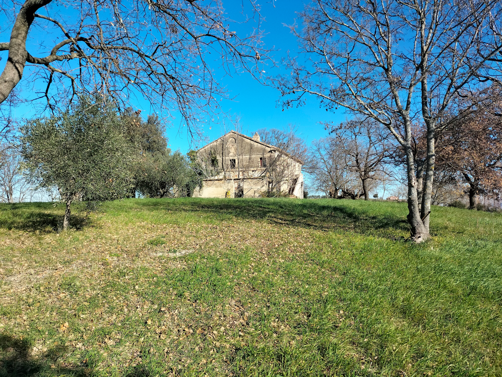 MNMO0525 || Casale – Osimo (AN)