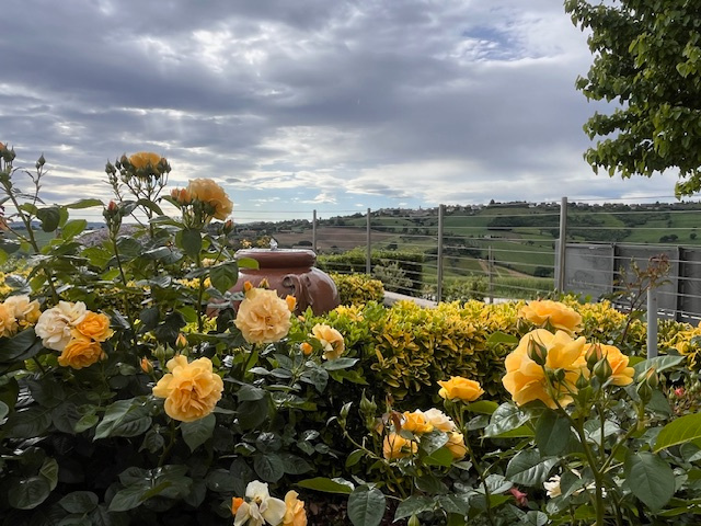 GJSM0126 || Casale – San Marcello (AN)