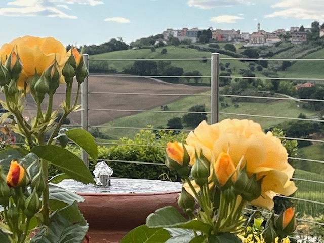 GJSM0126 || Farmhouse – San Marcello (AN)