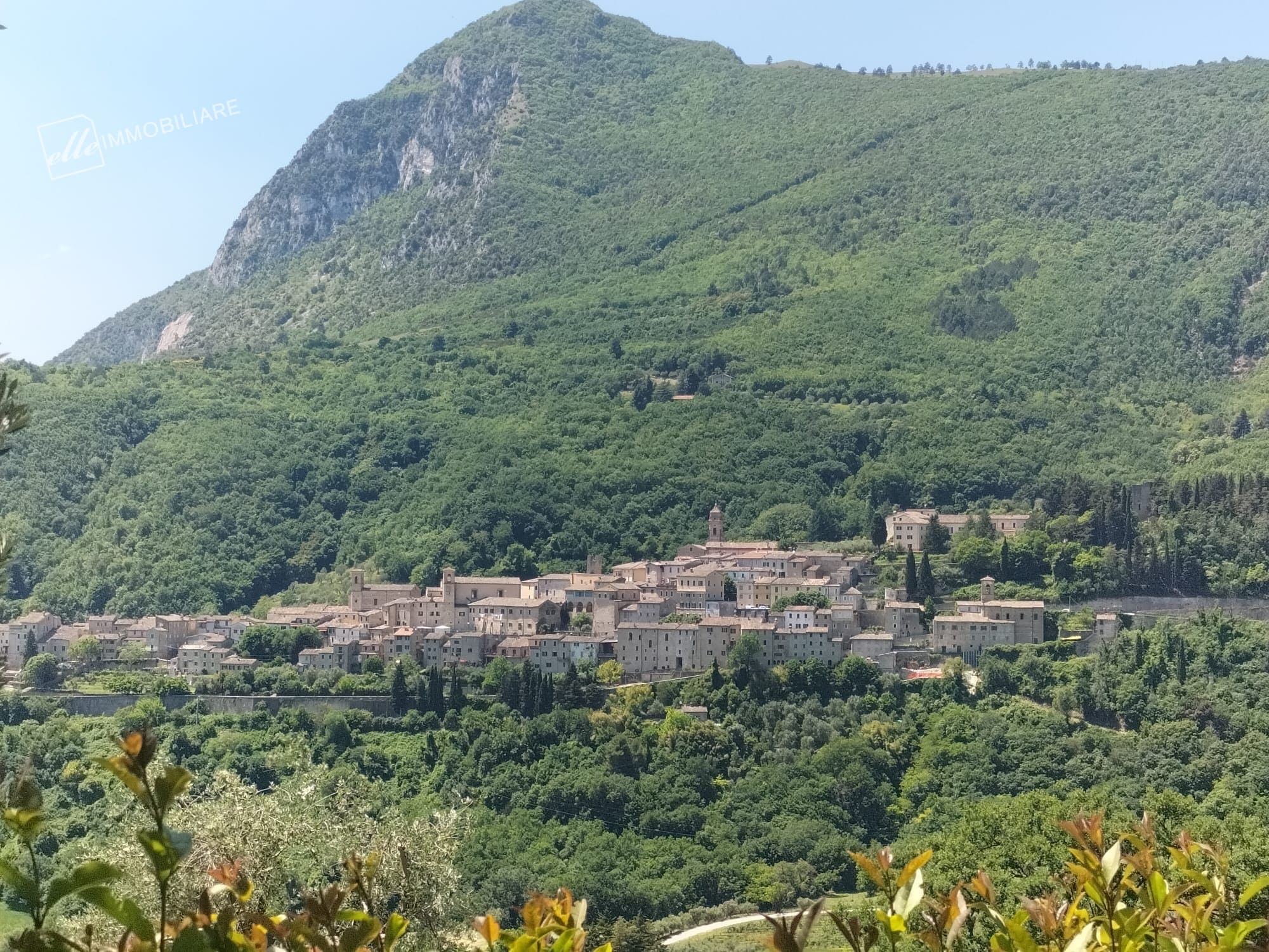 SSQLG0326 || Casale – Serra San Quirico (AN)