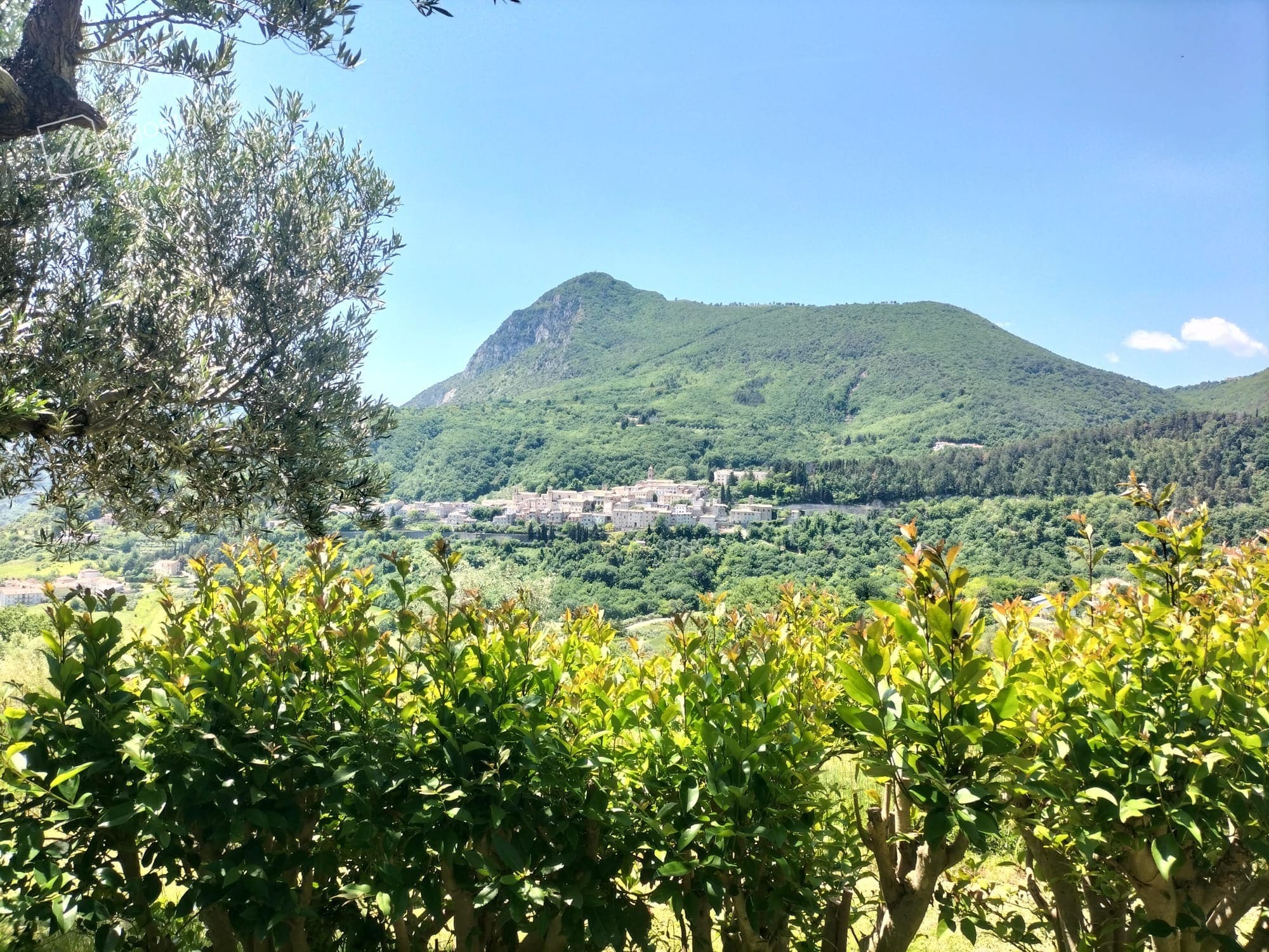 SSQLG0326 || Casale – Serra San Quirico (AN)